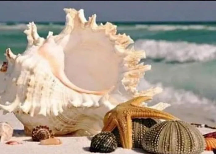 Residenza N&d Luxury Апартаменти