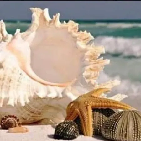 Residenza N&d Luxury Apartman